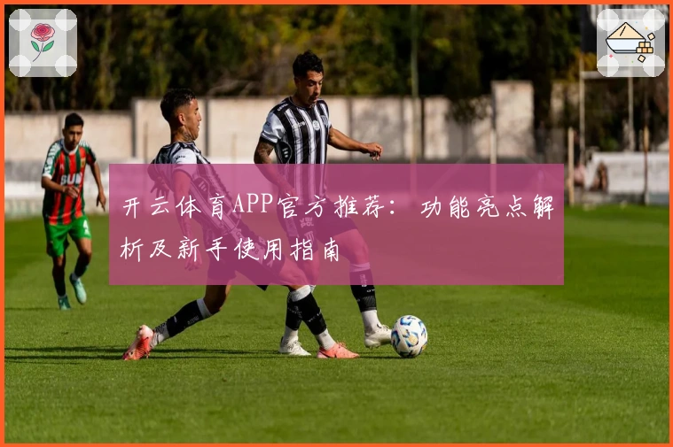 开云体育APP官方推荐：功能亮点解析及新手使用指南